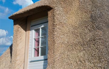 Cranley thatch roof disadvantages