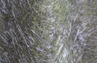 Cranley fibreglass roof work